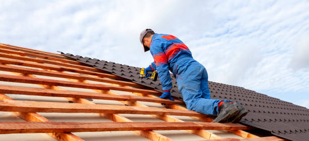 Best Roof Insulation Installation  in Altavista, VA