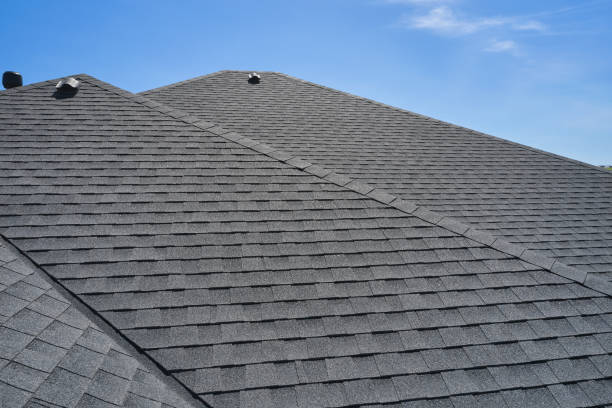 Best Roof Coating and Sealing  in Altavista, VA